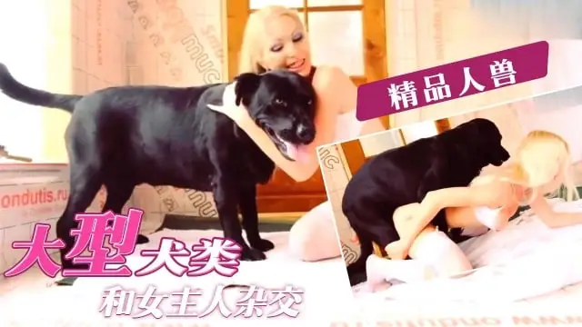【精品人獸】騷貨大戰巨型犬...