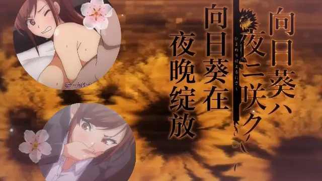 向日葵在夜晚綻放，和丈夫就為的性愛 2D動漫 中文字幕