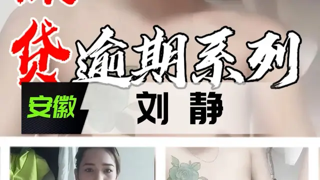 裸貸逾期系列-安徽劉靜